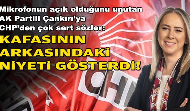 Mikrofonun açık olduğunu unutan AK Partili Çankırı'ya CHP'den çok sert sözler