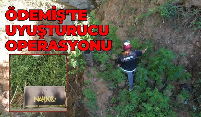 Ödemiş'te uyuşturucu operasyonu