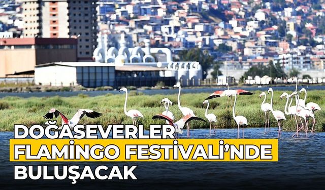 Doğaseverler Flamingo Festivali’nde buluşacak