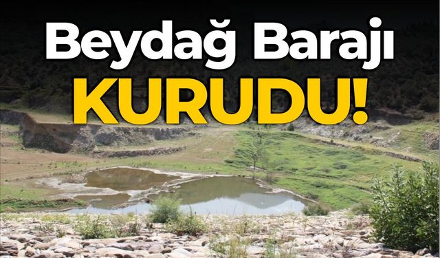 Beydağ barajı kurudu!
