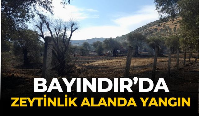 BAYINDIR’DA ZEYTİNLİK ALANDA YANGIN