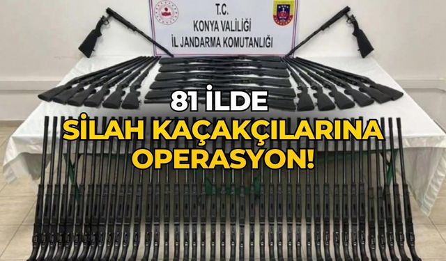 81 ilde silah kaçakçılarına operasyon!