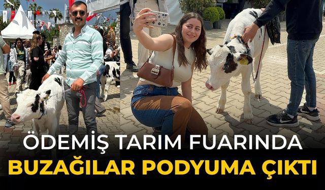 Ödemiş Tarım Fuarında buzağılar podyuma çıktı
