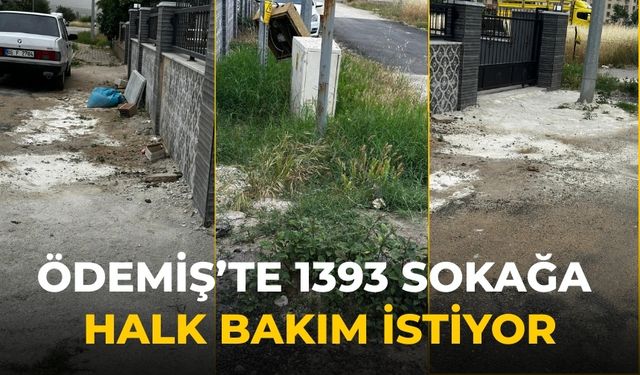 ÖDEMİŞ’te 1393 SOKAĞA HALK BAKIM İSTİYOR
