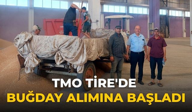 TMO Tire'de Buğday Alımına Başladı