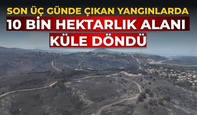 Son üç günde çıkan yangınlarda 10 bin hektarlık alanı küle döndü