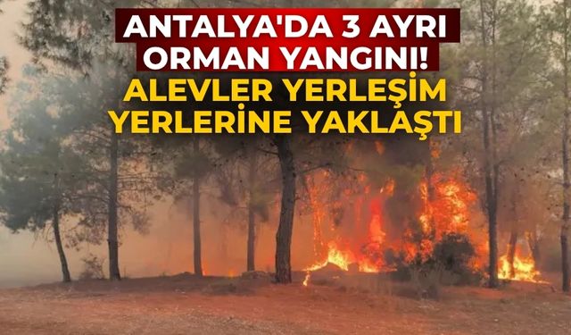 Antalya'da 3 ayrı orman yangını! Alevler yerleşim yerlerine yaklaştı