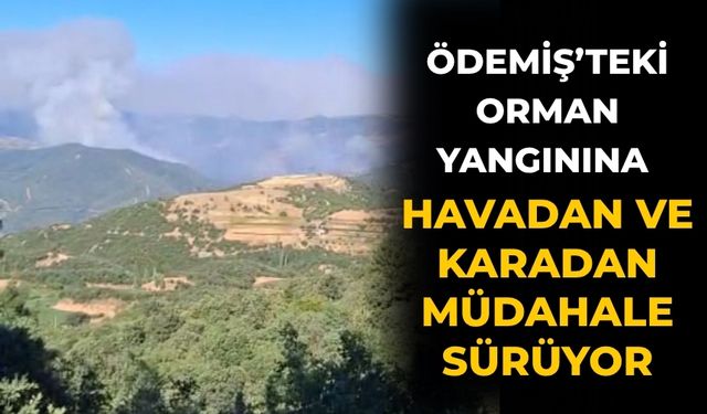Ödemiş’teki Orman Yangınına Havadan ve Karadan Müdahale Sürüyor