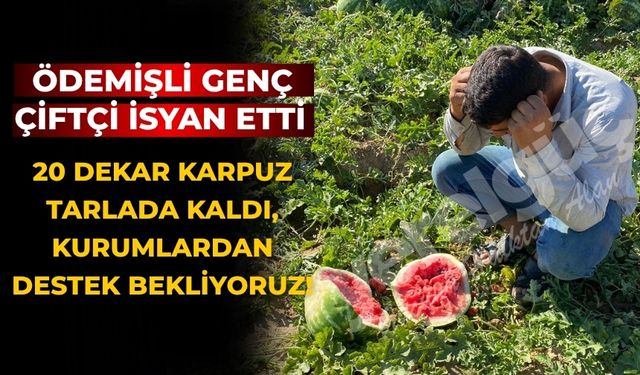 Ödemişli Genç çiftçi İsyan Etti 20 Dekar Karpuz Tarlada Kaldı, Kurumlardan Destek Bekliyoruz!