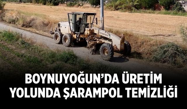 Boynuyoğun’da üretim yolunda şarampol temizliği