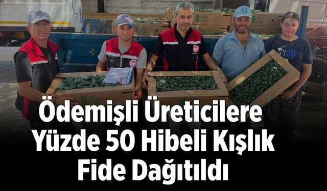 Ödemişli Üreticilere Yüzde 50 Hibeli Kışlık Fide Dağıtıldı