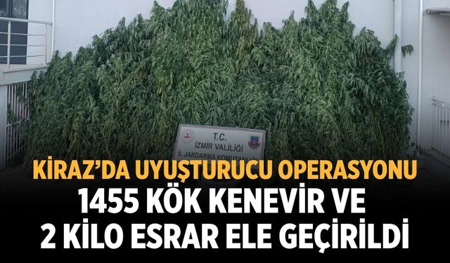 Kiraz’da uyuşturucu operasyonu 1455 kök kenevir ve 2 kilo esrar ele geçirildi