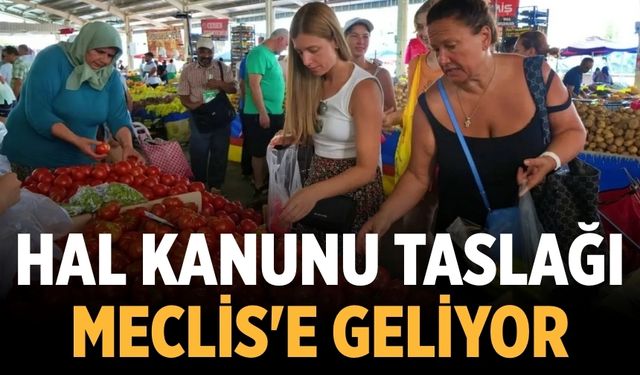 Hal Kanunu taslağı Meclis'e geliyor