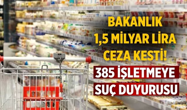 Bakanlık 1,5 milyar lira ceza kesti! 385 işletmeye suç duyurusu
