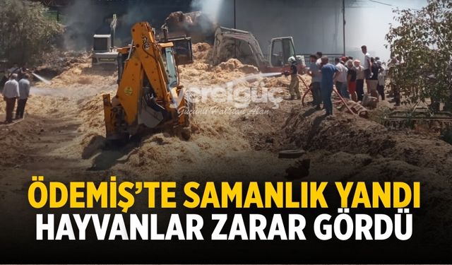 Ödemiş’te samanlık yandı