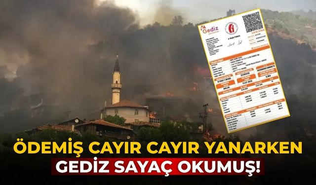 Ödemiş cayır cayır yanarken GEDİZ sayaç okumuş!
