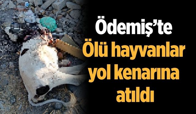Ödemiş’te Ölü hayvanlar yol kenarına atıldı