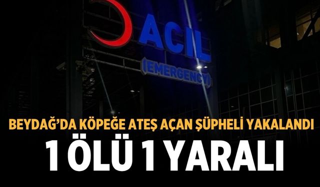 Beydağ’da köpeğe ateş açan şüpheli yakalandı