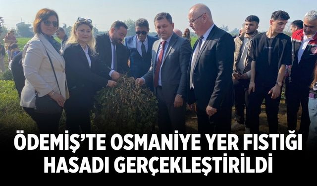 Ödemiş’te Osmaniye Yer Fıstığı Hasadı Gerçekleştirildi