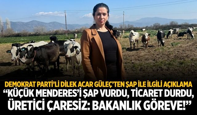 DP'li Güleç, "Küçük Menderes’i şap vurdu, ticaret durdu, üretici çaresiz: Bakanlık göreve!"