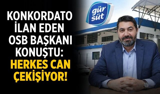 Konkordato ilan eden OSB Başkanı konuştu: Herkes can çekişiyor!