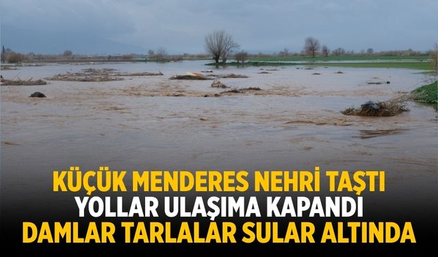 KÜÇÜK MENDERES NEHRİ TAŞTI