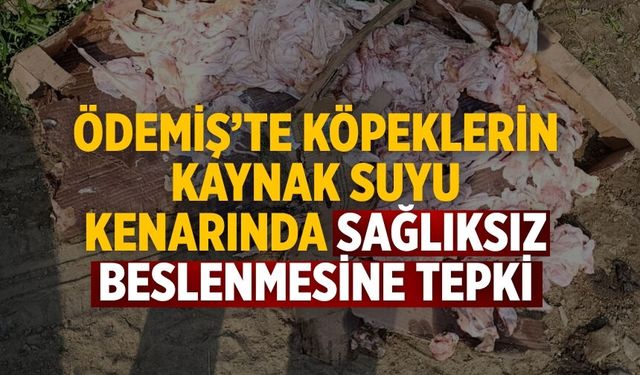 Ödemiş’te köpeklerin kaynak suyu kenarında sağlıksız beslenmesine tepki