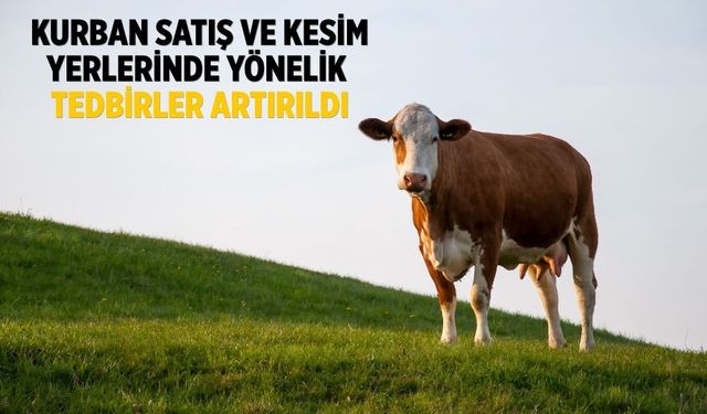 Kurban satış ve kesim yerlerinde yönelik tedbirler artırıldı