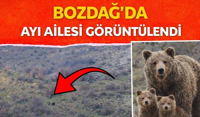 BOZDAĞ’DA AYI AİLESİ GÖRÜNTÜLENDİ