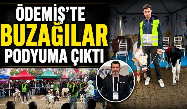Ödemiş'te Buzağılar podyuma çıktı