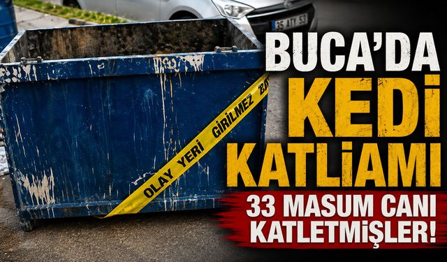 Buca’da kedi katliamı 33 masum canı katletmişler!