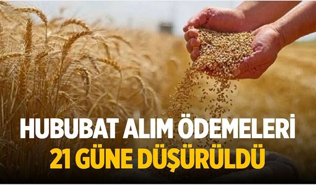 Hububat Alım Ödemeleri 21 Güne Düşürüldü