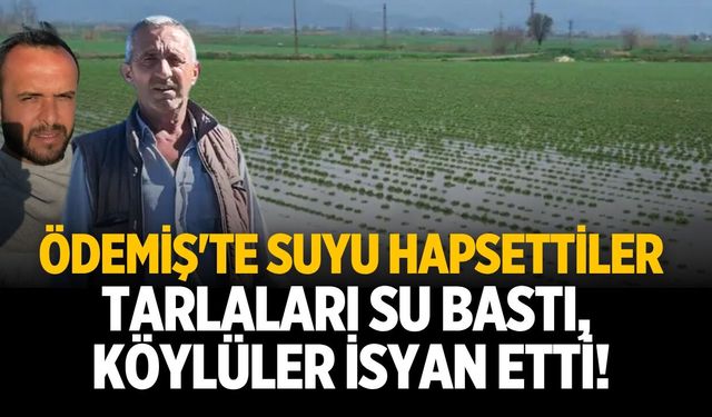 Ödemiş'te suyu hapsettiler Tarlaları su bastı, köylüler isyan etti!
