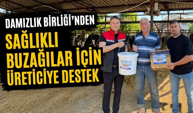 Damızlık Birliği’nden Sağlıklı Buzağılar için üreticiye destek