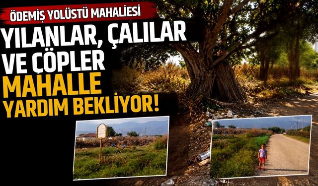 Ödemiş Yolüstü mahallesi Yılanlar, Çalılar ve Çöpler Mahalle Yardım Bekliyor
