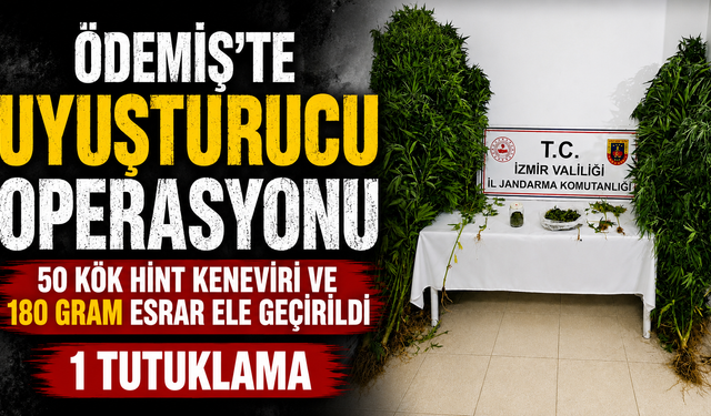 Ödemiş’te Uyuşturucu Operasyonu 50 Kök Hint Keneviri ve 180 Gram Esrar Ele Geçirildi 1 tutuklama