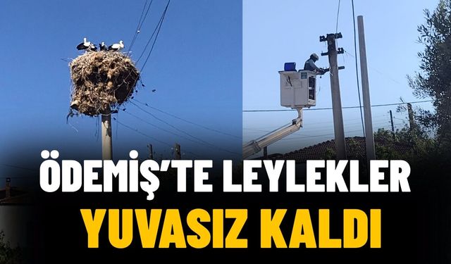 ÖDEMİŞ’TE LEYLEKLER YUVASIZ KALDI