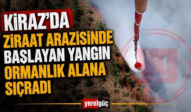Kiraz’da Ziraat Arazisinde Başlayan Yangın Ormanlık Alana Sıçradı
