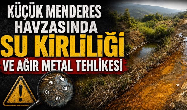 Küçük Menderes Havzasında Su Kirliliği ve Ağır Metal Tehlikesi