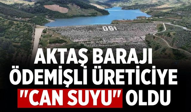 Aktaş Barajı Ödemişli üreticiye "can suyu" oldu