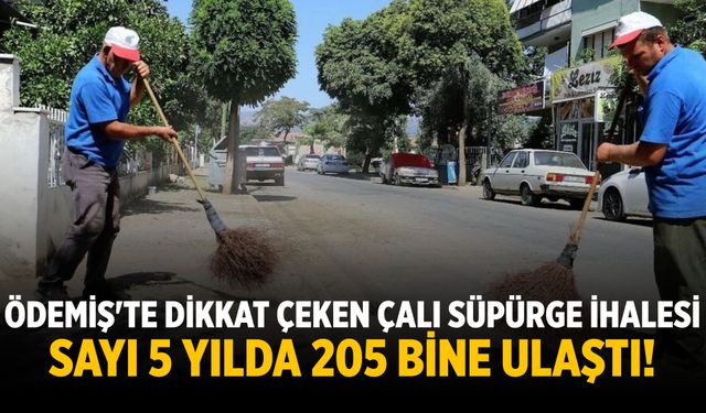 Ödemiş'te dikkat çeken çalı süpürge ihalesi Sayı 5 yılda 205 bine ulaştı!
