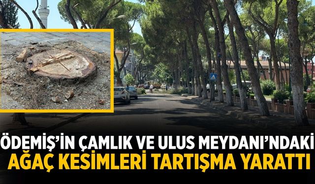 Ödemiş’in Çamlık ve Ulus Meydanı’ndaki Ağaç Kesimleri Tartışma Yarattı