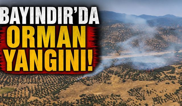 BAYINDIR’DA ORMAN YANGINI!