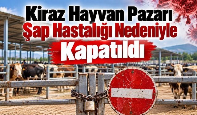 Kiraz Hayvan Pazarı Şap Hastalığı Nedeniyle Kapatıldı