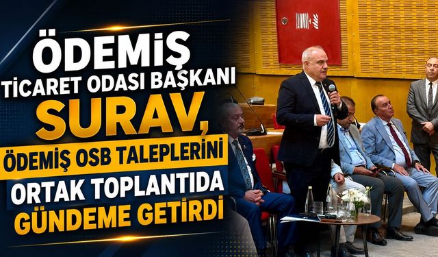 Ödemiş Ticaret Odası Başkanı Surav, Ödemiş OSB Taleplerini Ortak Toplantıda Gündeme Getirdi