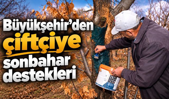 Büyükşehir’den çiftçiye sonbahar destekleri