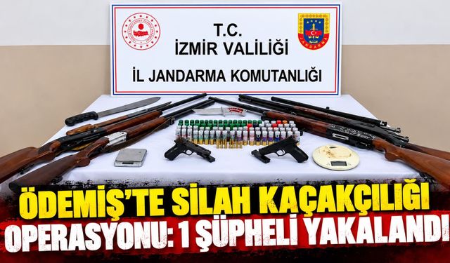 Ödemiş'te silah kaçakçılığı operasyonu: 1 şüpheli yakalandı