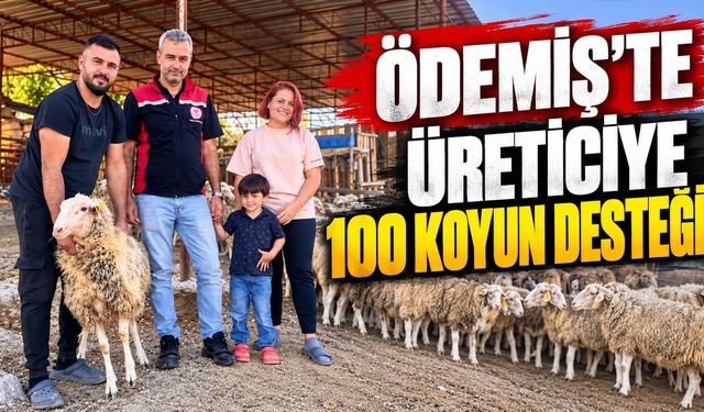ÖDEMİŞLİ KADIN ÜRETİCİYE 100 KOYUN DESTEĞİ