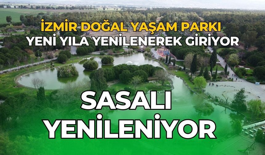 Sasalı yenileniyor