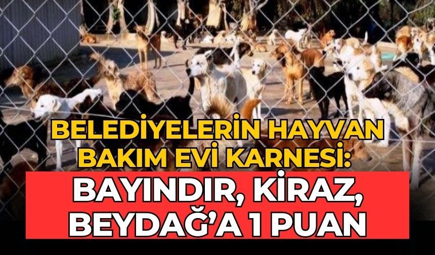 Belediyelerin hayvan bakım evi karnesi: Bayındır, Kiraz, Beydağ’a 1 puan